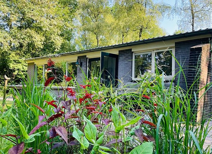 Unterkunft 191508 - Ferienhaus Zuidoost Drenthe - Huisje in Gees