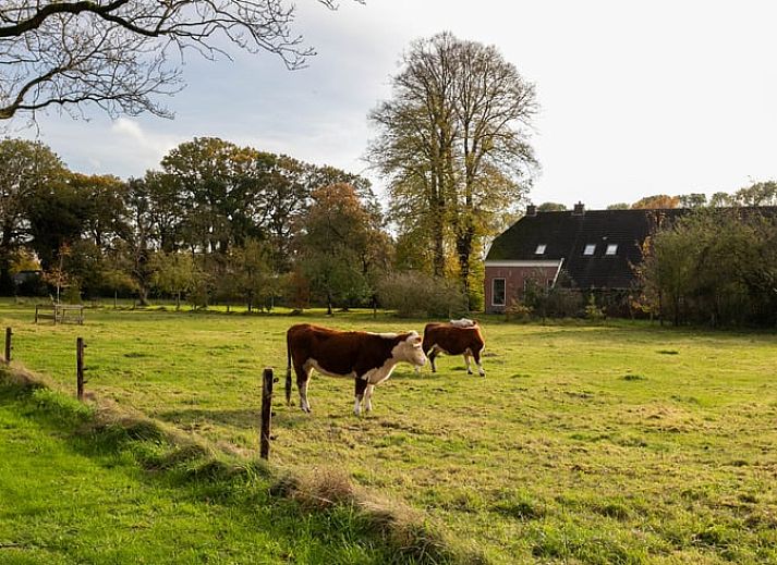 Guest house 191605 - Holiday property Zuidoost Drenthe - Huisje in Valthe