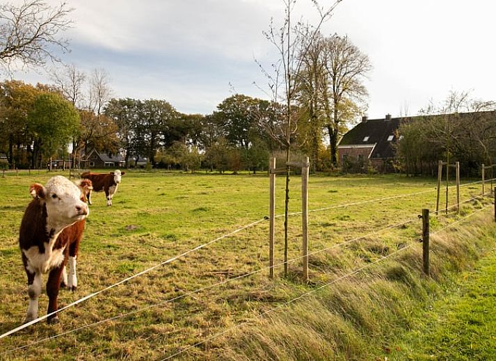 Guest house 191605 - Holiday property Zuidoost Drenthe - Huisje in Valthe