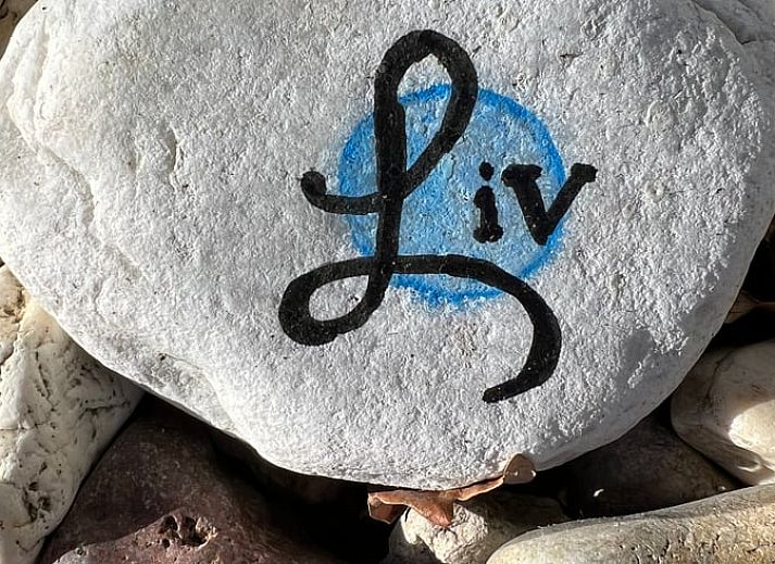 Moderne woonkamer in Vakantiehuisje in Valthe, Drenthe met stijlvolle meubels en decoratie.