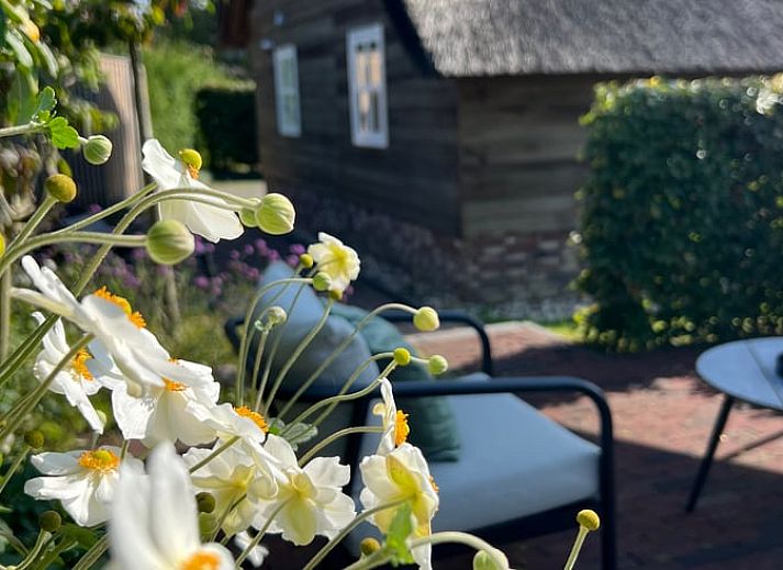 Comfortabele zithoek in Vakantiehuisje in Valthe, Zuidoost Drenthe met zachte kussens en decoratieve elementen.