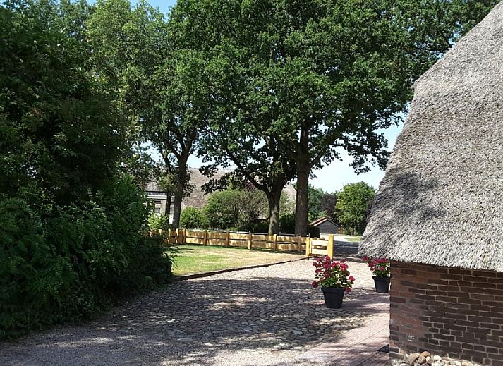 Charmantes Wohnbauernhaus Kosterhoeve in Valthe, Drenthe mit Reetdach und laendlicher Umgebung.