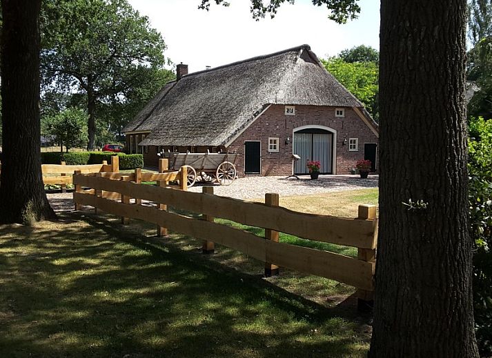 Gemuetliche Terrasse des Bauernhofs Kosterhoeve in Valthe, Suedost-Drenthe, mit Blumen und altem Holzwagen.