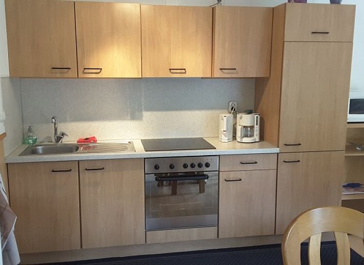 Gruene Umgebung des Ferienhauses Boerenhof in Valthe, Suedost-Drenthe mit schattigen Baeumen.