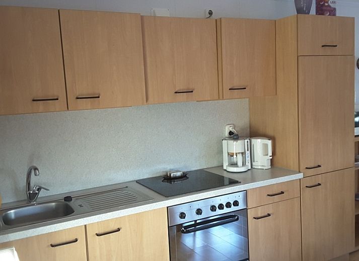 Gruene Umgebung des Ferienhauses Boerenhof in Valthe, Suedost-Drenthe mit schattigen Baeumen.