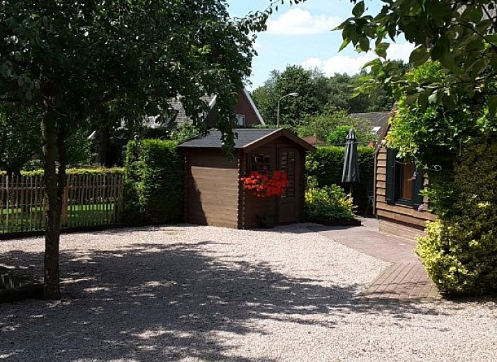 Gruene Umgebung des Ferienhauses Boerenhof in Valthe, Suedost-Drenthe mit schattigen Baeumen.