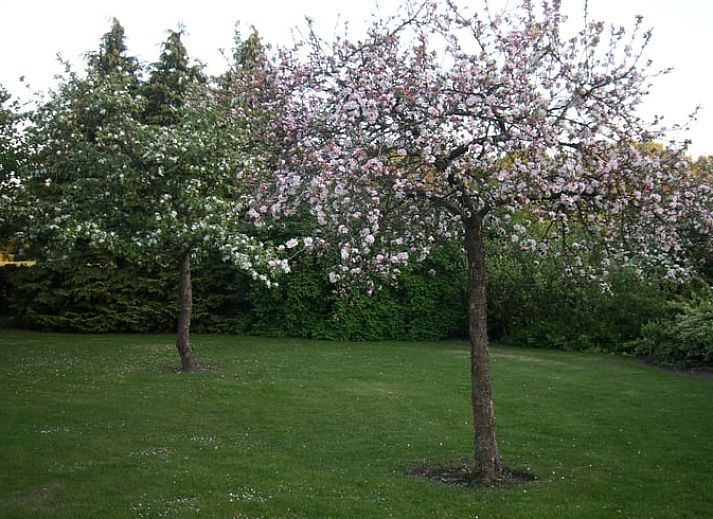 Ferienhaus in Valthe, Suedost-Drenthe, mit sonniger Terrasse und gruener Umgebung, ideal fuer einen entspannten Aufenthalt in Drenthe.