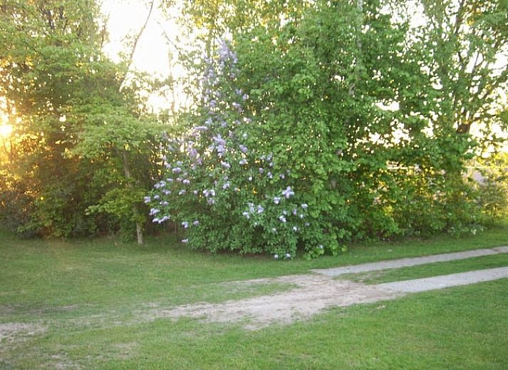 Ferienhaus in Valthe, Suedost-Drenthe, mit sonniger Terrasse und gruener Umgebung, ideal fuer einen entspannten Aufenthalt in Drenthe.