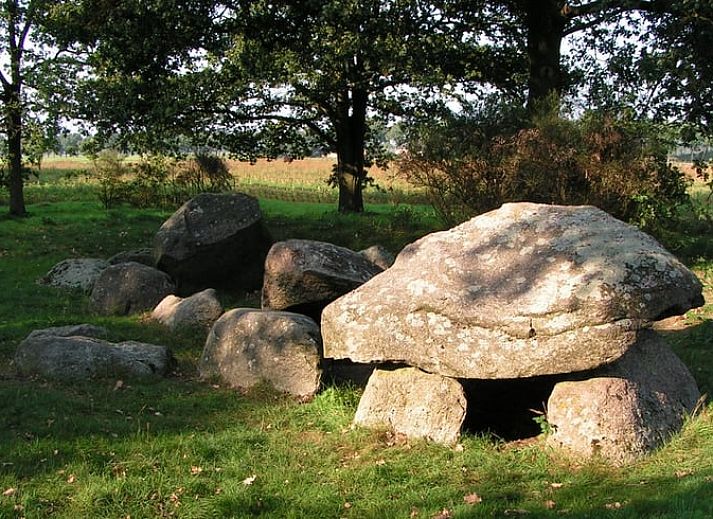 Ferienhaus in Valthe, Suedost-Drenthe: Geniessen Sie die Ruhe auf der Terrasse dieses nachhaltigen Ferienhauses mit Sonnenkollektoren.