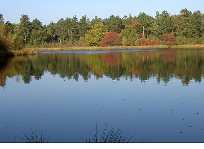 Tabaks-vakantiebungalows.nl in Schoonoord, Drenthe biedt een rustieke bungalow met veranda en uitzicht op groene natuur.