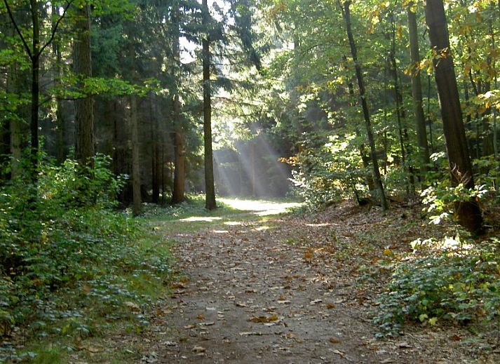 Geniet van rust in tabaks-vakantiebungalows.nl, een charmante bungalow in Schoonoord, Drenthe, omgeven door groene natuur en serene sfeer.