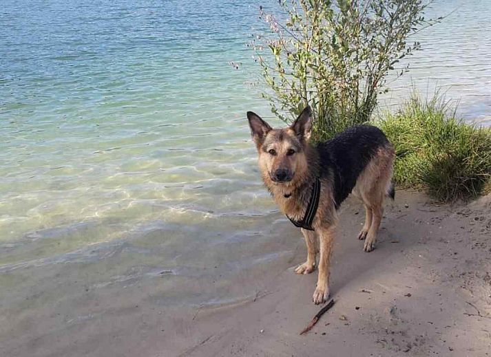 Vakantiehuis DG659 in Schoonoord, Drenthe, met traditionele bakstenen gevel en groene omgeving.