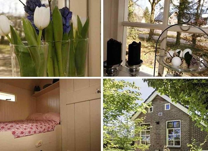 Zonnig terras bij vakantiehuis DG659 in Schoonoord, Drenthe, omgeven door groen.