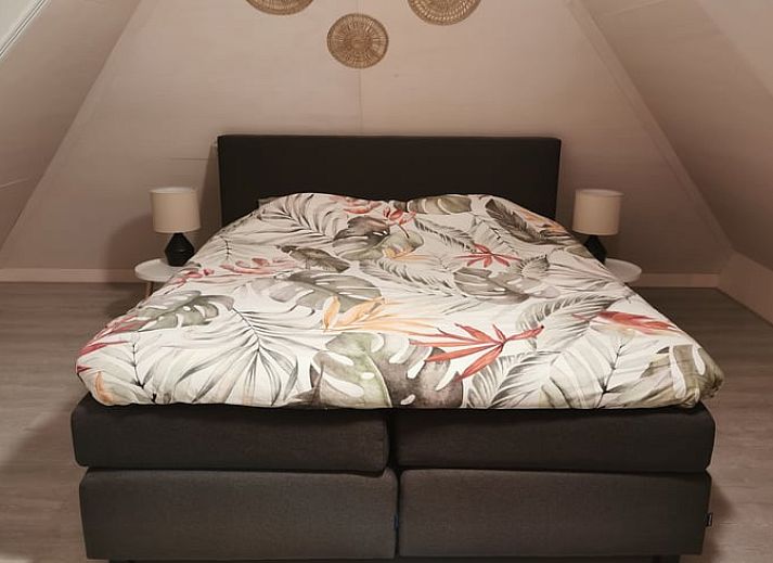 Bluehende Blumen vor dem Fenster des Ferienhauses in Erm, im Suedosten von Drenthe.