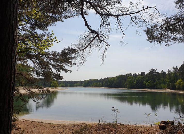 Bequeme Liegestuehle auf der Terrasse des Ferienhauses in Erm, Drenthe.