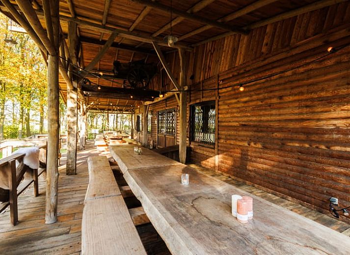 Cottage in Erm, vacation home in Southeast Drenthe with rustic wooden porch surrounded by nature.