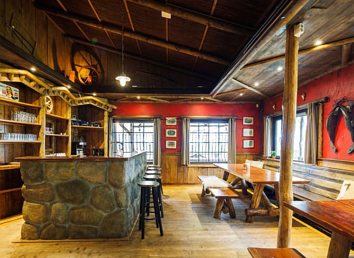 Cottage in Erm, vacation home in Southeast Drenthe with rustic wooden porch surrounded by nature.