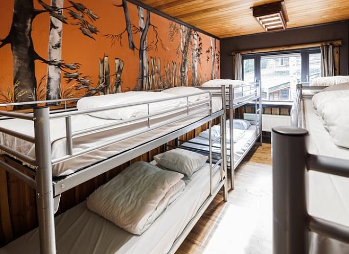 Cottage in Erm, cottage with rustic wooden porch in Southeast Drenthe, surrounded by natural beauty and serene surroundings.