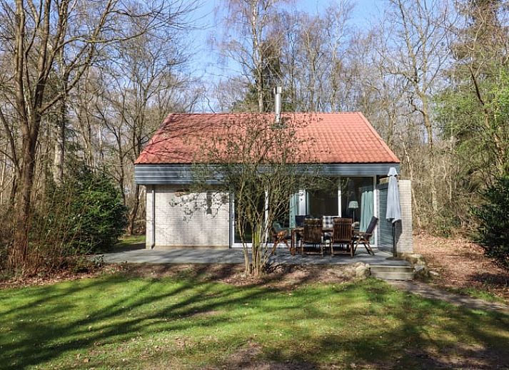 Ferienhaus in Geesbrug, Drenthe mit gruenem Garten und Terrasse in waldreicher Umgebung.