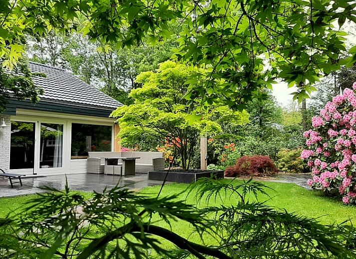 Gemuetliche Terrasse im Ferienhaus in Geesbrug, Drenthe, umgeben von gruener Natur fuer ultimative Entspannung.