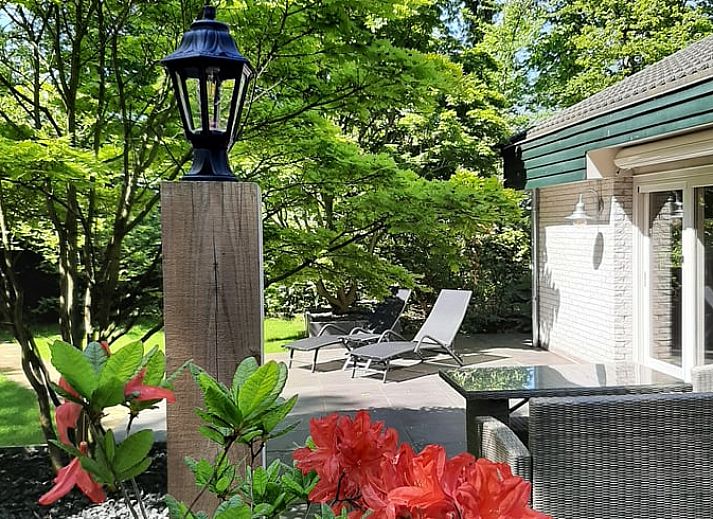 Stimmungsvolles Esszimmer im Ferienhaus in Geesbrug, Suedost-Drenthe, ideal fuer gemuetliche Abendessen.