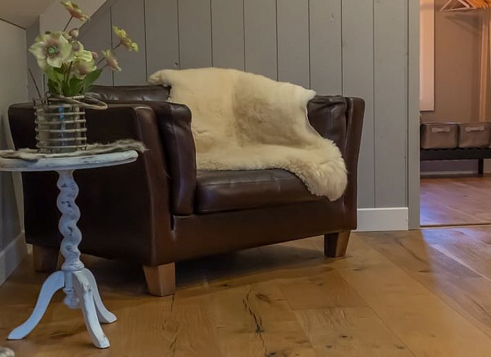 Gemuetliches Interieur des Ferienhauses in Geesbrug, Drenthe, mit moderner Einrichtung und Blick auf die Natur.
