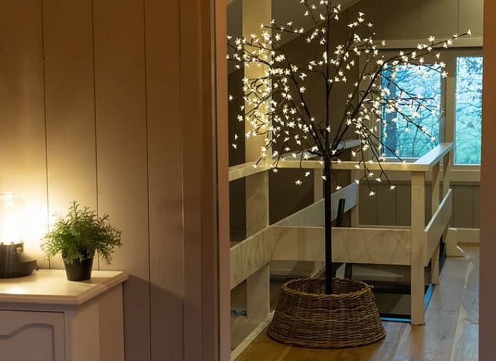 Gemuetliches Interieur des Ferienhauses in Geesbrug, Drenthe, mit moderner Einrichtung und Blick auf die Natur.