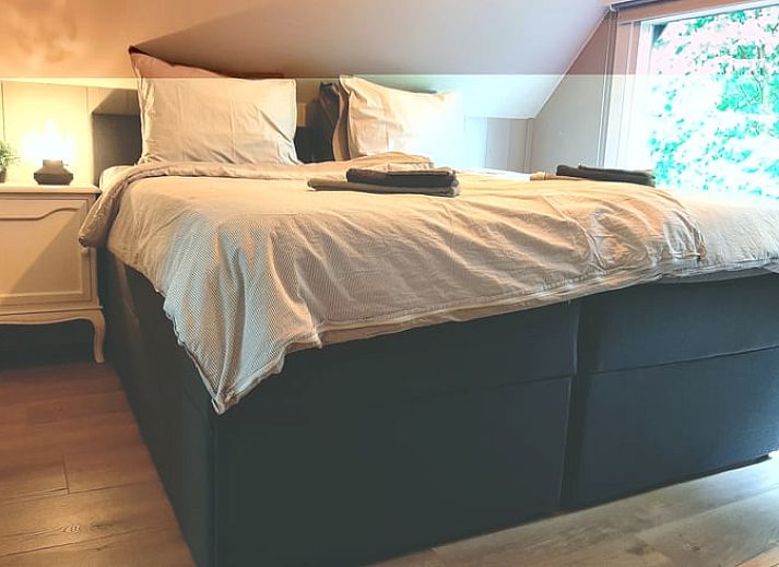 Gemuetliches Interieur des Ferienhauses in Geesbrug, Drenthe, mit moderner Einrichtung und Blick auf die Natur.