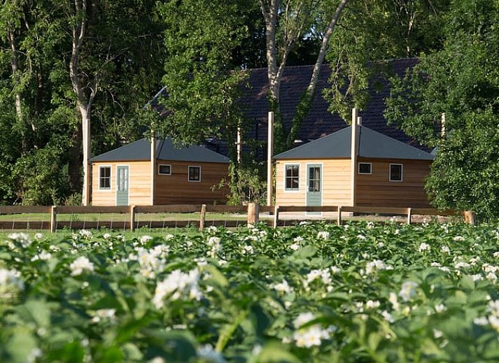 Gezellige eetruimte in Vakantiehuisje in Coevorden met landelijke inrichting in Drenthe.
