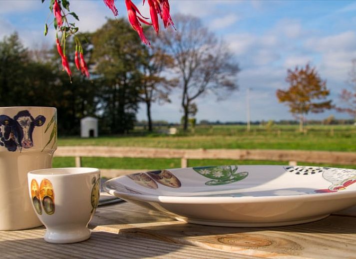 Gezellige eetruimte in Vakantiehuisje in Coevorden met landelijke inrichting in Drenthe.