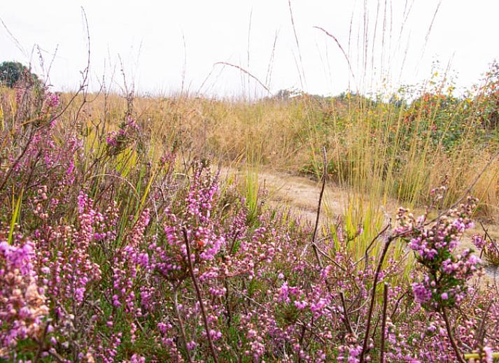 Compacte keuken in Vakantiehuisje in Coevorden, ideaal voor een vakantie in Drenthe.