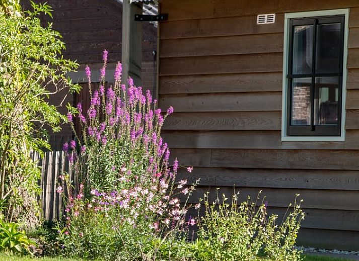 Compacte keuken in Vakantiehuisje in Coevorden, ideaal voor een vakantie in Drenthe.