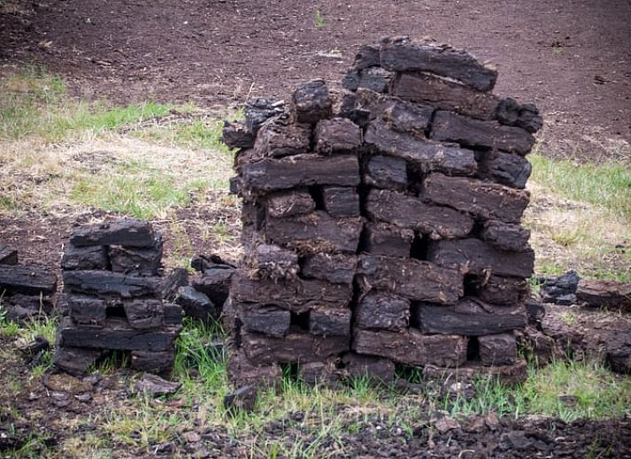 Gezelschapsspel Boer-opoly in Vakantiehuisje in Coevorden, perfect voor familietijd in Drenthe.