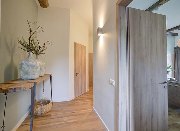 Cottage in Benneveld with thatched roof, located in picturesque Southeast Drenthe, surrounded by green nature.