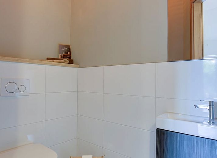 Cottage in Benneveld with thatched roof, located in picturesque Southeast Drenthe, surrounded by green nature.