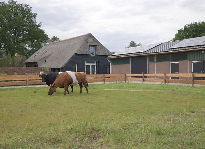 Stylish hall of Cottage in Benneveld, Southeast Drenthe, with wooden floor and decorative elements.