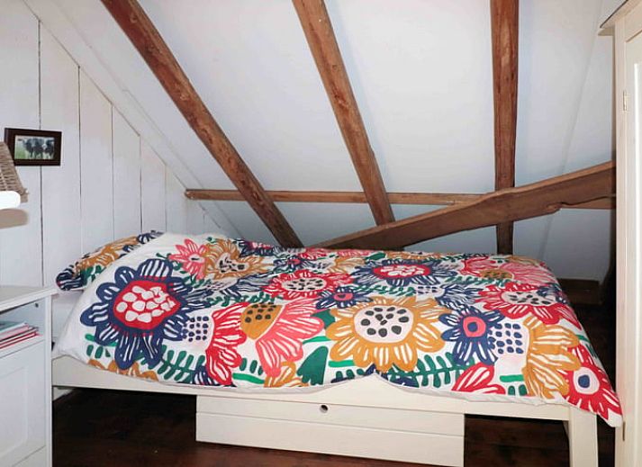 Guest house 192707 - Holiday property Zuidoost Drenthe - Vakantiehuis in Benneveld
