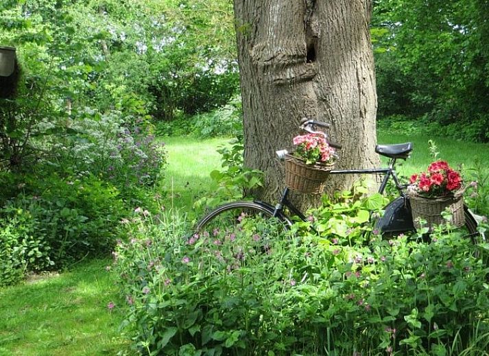 Schaduwrijk terras bij Huisje in Benneveld, vakantiehuis in Drenthe met comfortabele stoelen.