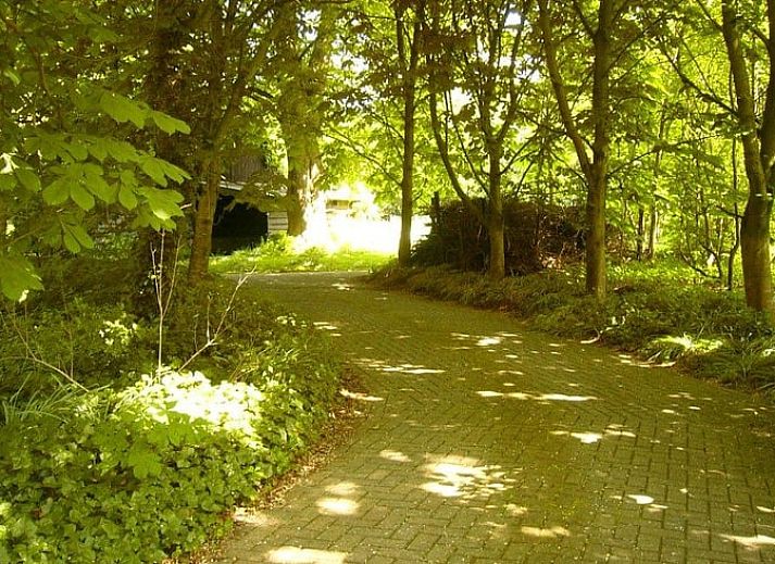 Schaduwrijk terras bij Huisje in Benneveld, vakantiehuis in Drenthe met comfortabele stoelen.