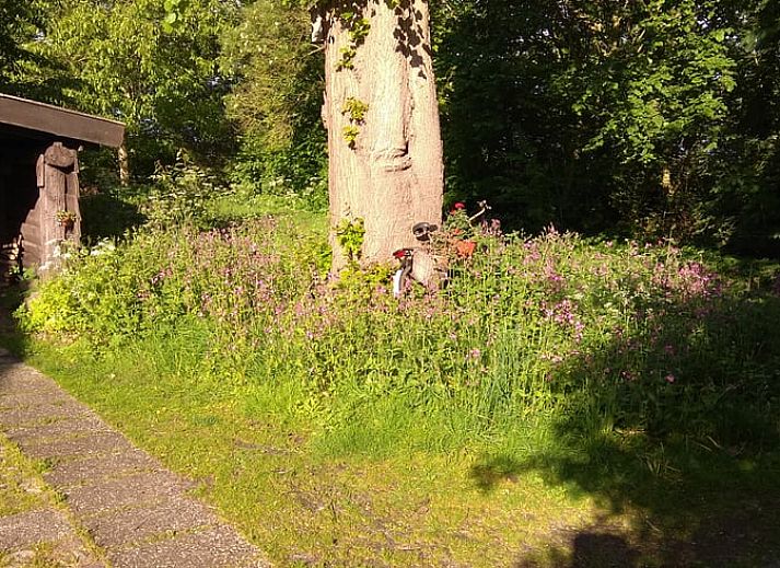 Schaduwrijk terras bij Huisje in Benneveld, vakantiehuis in Drenthe met comfortabele stoelen.