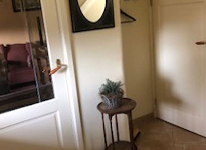 Schaduwrijk terras bij Huisje in Benneveld, vakantiehuis in Drenthe met comfortabele stoelen.