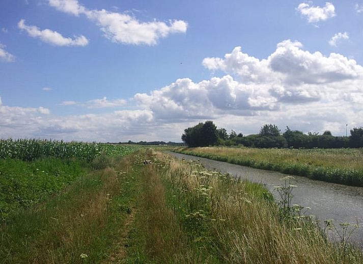 Uitzicht op Vakantiehuis in Nieuw-Schoonebeek omgeven door natuur, Zuidoost Drenthe.