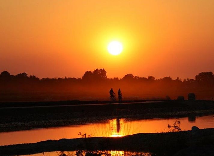 Historische ansichtkaart van Vakantiehuis in Nieuw-Schoonebeek, Drenthe.
