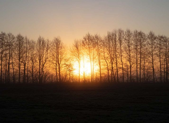 Geniet van de landelijke charme van vakantiehuis DG2049 in Nieuw-Schoonebeek, Drenthe, met een rustiek terras en prachtige groene omgeving.