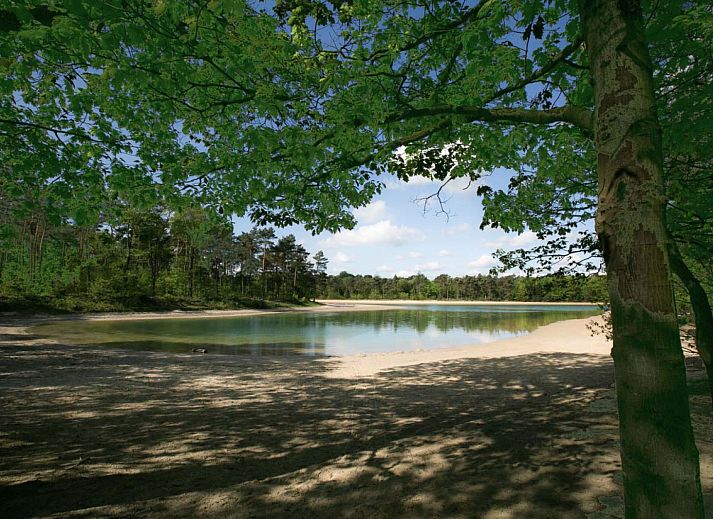 Moderne badkamer in vakantiehuis DG2049, Nieuw-Schoonebeek, Zuidoost Drenthe, met ruime douche en stijlvolle inrichting.