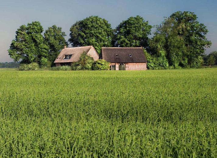 Historisch glas-in-loodraam in vakantiehuis DG2049 in Nieuw-Schoonebeek, Drenthe, met uitzicht op de serene omgeving van Zuidoost Drenthe.