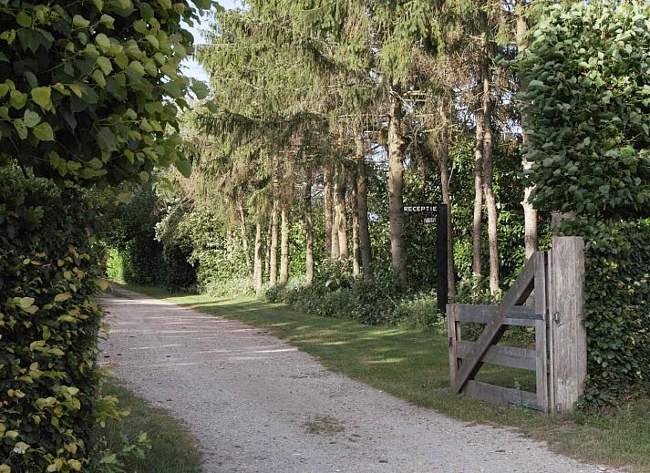 Unterkunft 193120 - Ferienhaus Zuidoost Drenthe - DG1100
