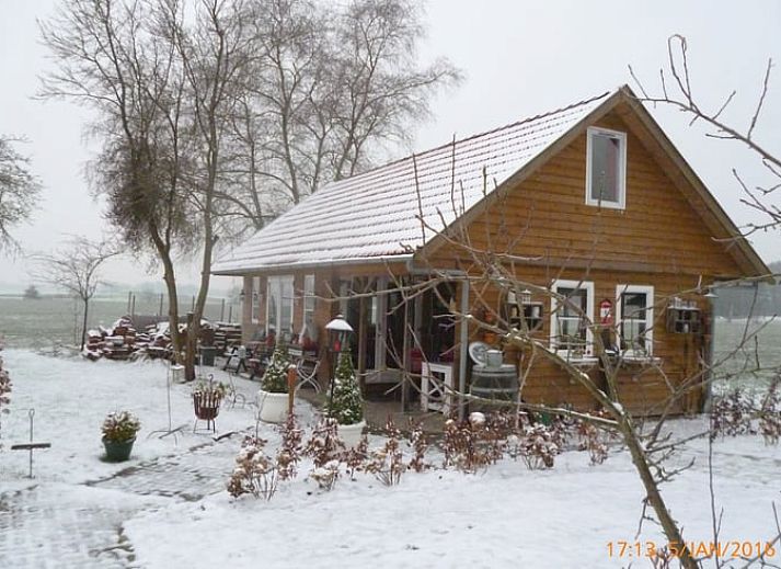 Gemuetliche Terrasse am Ferienhaus in Nieuw-Dordrecht, umgeben von Natur in Suedost-Drenthe, Drenthe.