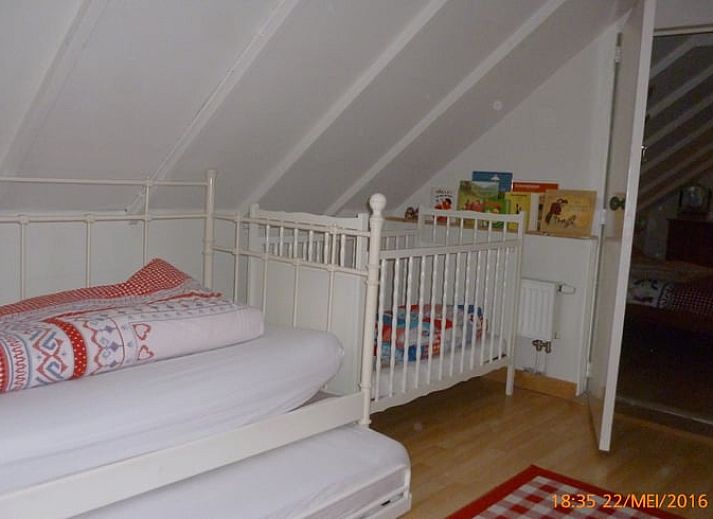 Geniessen Sie das Grillen auf dem Rasen im Ferienhaus in Nieuw-Dordrecht, Suedost-Drenthe, Drenthe.