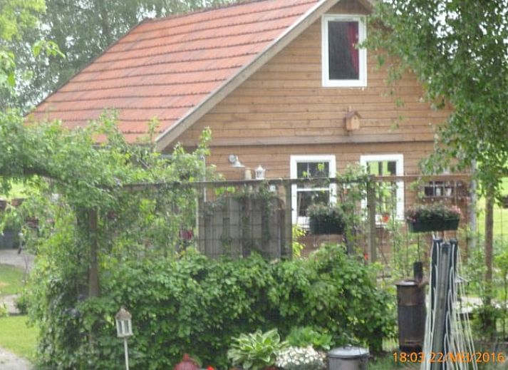 Geniessen Sie das Grillen auf dem Rasen im Ferienhaus in Nieuw-Dordrecht, Suedost-Drenthe, Drenthe.